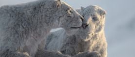 Prehistoric Planet Ice Age featured